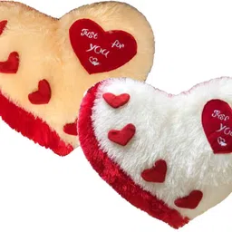 catchyx cart Microfibre Quotes Cushion Pack of 2 image 1