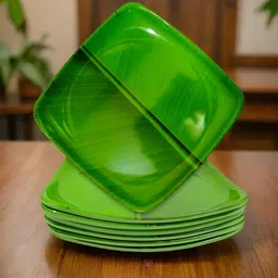 Elevate Your Dinner Experience with our Melamine Square Serving Plates Set of 6 Half Plate-image-35