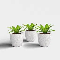 SHERA Stella Flower Pots for Home Décor | 8 Inch Planter for Indoor & Outdoor Plant Container Set-image-72