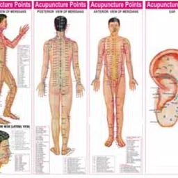 ekin Acupuncture Points Charts-Set-4 Paper Print-picture-10