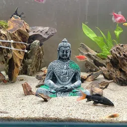 Ancient Look Buddha Statue for Aquarium Pond Fountains and Water Fall Decorations or Fish Tank Laterite Planted Substrate-image-53