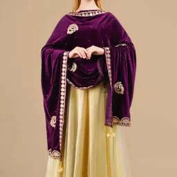 ana collection Velvet Embroidered Purple Women Dupatta image 3