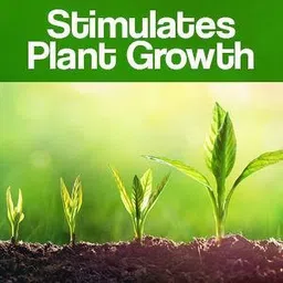 lofiyan plant boost Plant Boost Liquid Biofertilizer for All Crops,Organic Fertilizer image 2