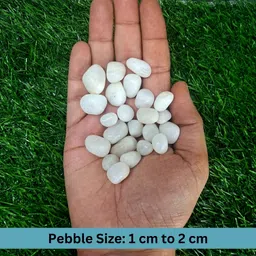 aver vera White Stone Polished Asymmetrical, Round Rock Pebbles image 3