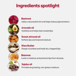 beggie Herbal Beetroot Lip Balm Combo |Pack of 3 | Organic Lip Moisturizer Care Beetrot fruit image 3