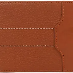burak Men Casual, Ethnic, Evening/Party, Formal, Travel, Trendy Tan Genuine Leather RFID Wallet-picture-44