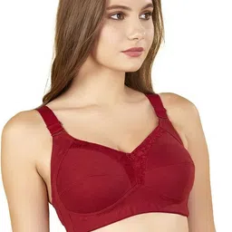 bluenixie Women Full Coverage Non Padded Bra image 2