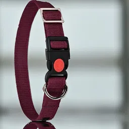 gns pets Collar For Puppy and Cat medium to stray dogs Dog Everyday Collar image 4