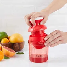 puthak juicer Open Slotted Homogenizer Probe-picture-24