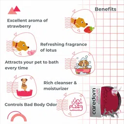 caredom Combo Offer - Neem Dog Soap & Strawberry Dog Soap Pack of 2 (75 g * 2 Nos) 0 ml Pet Coat Cleanser image 5
