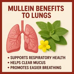 herbacco 12g Twins Smoking Cessations image 4