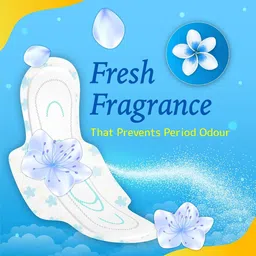 niine Naturally Soft Regular SUPER SAVER PACK Sanitary Napkins for women, (Pack of 4), 72 Pads Count Sanitary Pad image 2