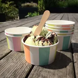 yasheshwi store Disposable Wooden Ice-cream Spoon, Table Spoon, Cream Spoon Set image 5