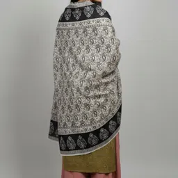 Sudako Acrylic Self Design Women Shawl image 2