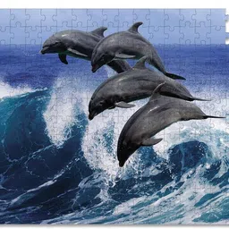 webby Beautiful Dolphins Wooden Jigsaw Puzzle, 252 pieces image 3
