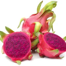 fuegoasiss Dragon Tree, Dragon Bubble Plant-picture-23