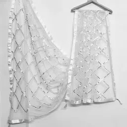 Net Embellished White Women Dupatta-image-29