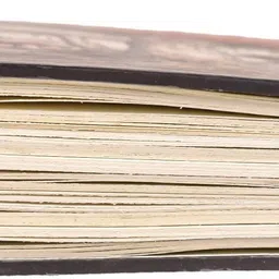 nizam handiicraft Mushroom Printed Cardboard Diary with Metal Lock A5 Diary Unrulled 200 Pages image 2