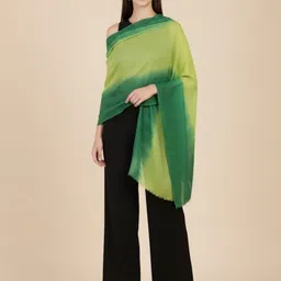 muffly Solid Pure Wool Women Green Stole-picture-26