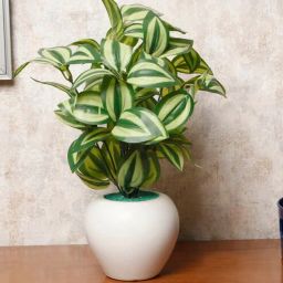 foliyaj Watermelon Multicolour Plastic & Polyester Artificial Plant With Pot-picture-25