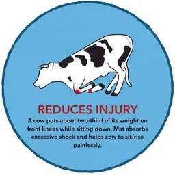 hakex Cow Mat Waterproof (Rubber Mat 8*5 Feet) BPA Free For Horse- | Cow, Dog, Hamster, Guinea Pig, Miniature Pig Pet Mat image 3