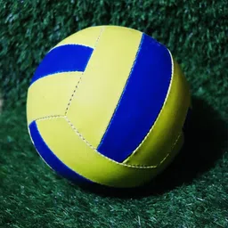 dss Limited Edition Hand Stitched Volleyball for Men & Women Volleyball - Size: 4 image 2