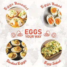 hsr HSREGGBOILER Electric Egg Boiler High Quality Egg Cooker image 5