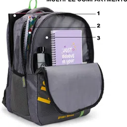 stony brook by nasher miles Large 35 L Backpack Altitude Grey Casual Backpack 35 L image 5