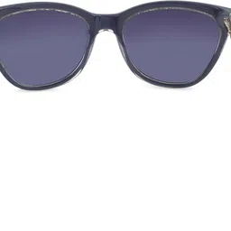 guy laroche Polarized Cat-eye Sunglasses (54) image 4