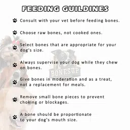 bones up Rawhide Dog Chew Bone 3 Inch (15 pcs.) Safe & Digestible Dog Chew image 5