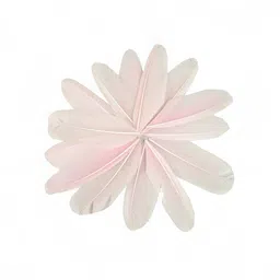 divaura Set of 2 Natural Dyed Craft Project Shuttle Feathers Making for Decorations image 5