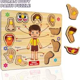 plus shine Montessori Educational Board Wooden Parts of Body (Human Body) Puzzle with Knobs image 1