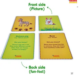 nannamunna Flash Card Combo for Kids above 1year | Colorful Memory and Animal Flash Cards image 4