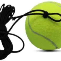 iklone Hanging Tennis Cricket Ball For indoor Training -T29 Cricket Tennis Ball-picture-15
