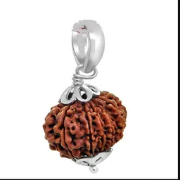 ceylonmine01 12 Mukhi NEPALI RUDRAKSHA Pendent RUDRAKSHA Pendent 100% Original & Certified Silver Beads Alloy Pendant image 3