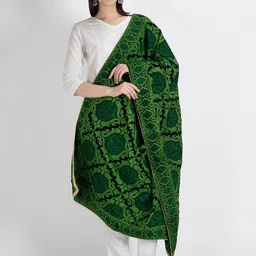 Moda Chales Women Embroidered Velvet Shawl-image-48