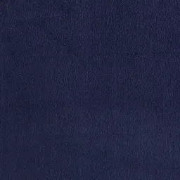 TWIN BIRDS Pack Of 2 Shimmer Dupattas image 5