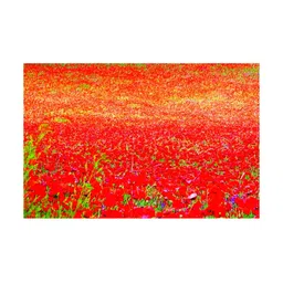 Inephos Red & Orange Canvas Flower Field Painting Wall Art-image-49