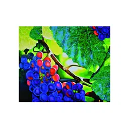 Inephos Green & Blue Grapes Printed Canvas Wall Painting-image-46