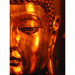 Inephos Brown & Black Canvas Beautiful Buddha Religious Wall Painting-image-85