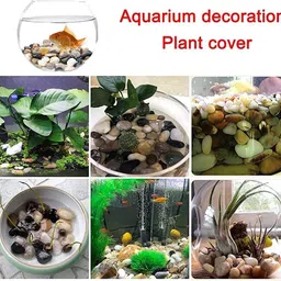 Garden Art Pebbles for Home Decor (5 KG, Multicolour, 1) image 4