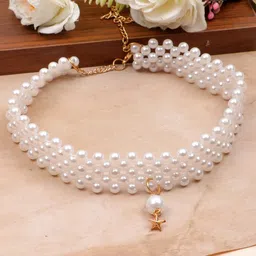 Crunchy Fashion Gold-Plated Choker Necklace-image-30