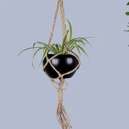 Homesake Hanging Macrame Jute Planter with Black Pot-picture-37