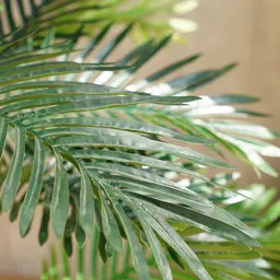 Pure Home and Living Green Faux Mini Palm Potted Plant image 2