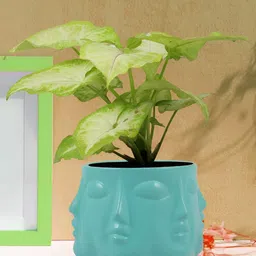 LASAKI Aqua Blue Buddha Ceramic Planter-image-15