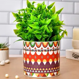 TAYHAA White & Red Ceramic Garden Delight Planter-picture-22