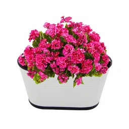 ecofynd Railing Planter Yellow & White 6 Pieces Metal Hanging Planter image 4