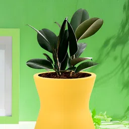 LASAKI Yellow Ceramic Planter image 3