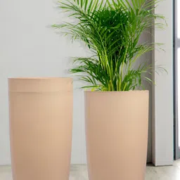 Kuber Industries Marble Emerald Beige 3 Pieces Planters with Tray image 1