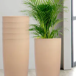 Kuber Industries Marble Emerald Beige 6 Pieces Planters with Tray image 1